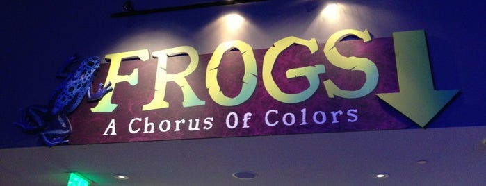 Frogs - A Chorus Of Colors is one of Places I have gone.