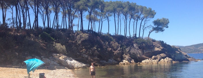 Spiaggia di Istia is one of Elba.