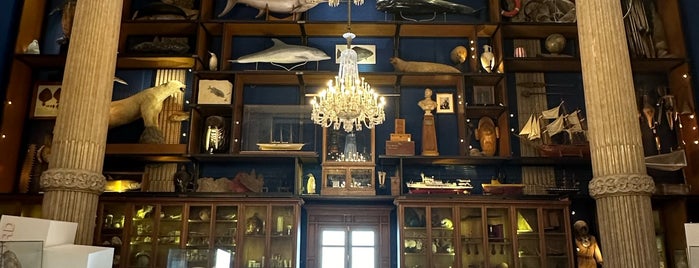 Musée Océanographique de Monaco is one of Southern France.