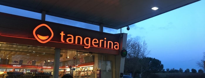 Tangerina (S-N) is one of Galp Portugal.