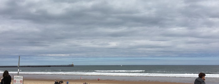 Blyth Beach is one of Newcastle.