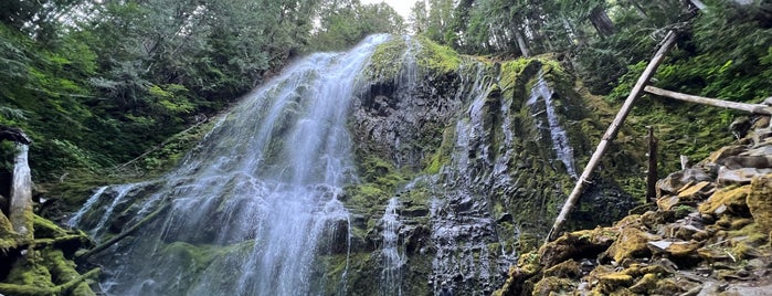 Proxy Falls is one of Oregon Coast.