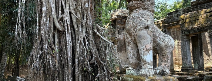 Preah Khan is one of Siem Reap, Cambodia.