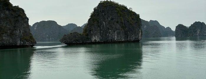 Lan Ha Bay is one of Orte, die Tristan gefallen.