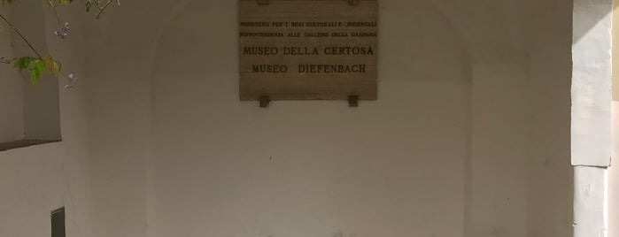 Museo Ignazio Cerio is one of Italy 2019.