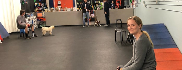 Zoom Room Dog Training is one of Favorite Places.