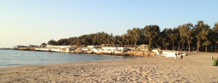 Aida Beach is one of No One Sleeps at Alexandria.