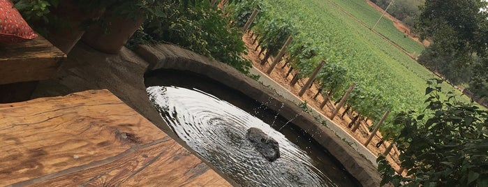 Rudd Estate is one of Wineries & Vineyards.