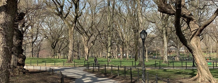 Central Park - A Bench for Book Lovers is one of New York to-do.
