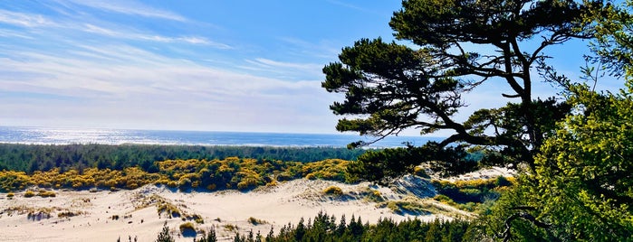 Oregon Dunes National Recreation Area is one of PNW + no cal.