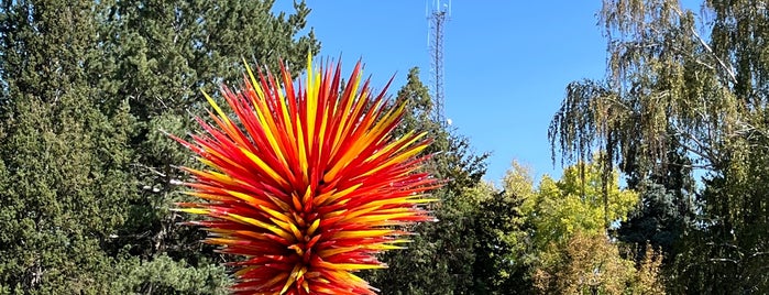 Chihuly Exhibit is one of Denver Attractions.