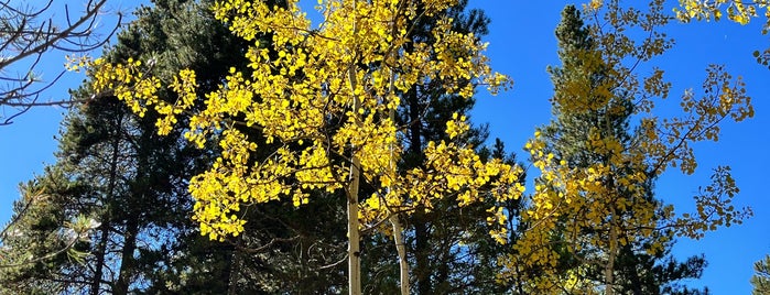 Golden Gate State Park is one of Golden.