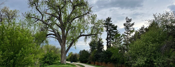 High Line Canal Trail is one of What to do in and around Highlands Ranch.