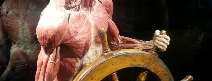 Body Worlds is one of Amsterdam.