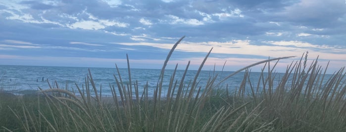 Leone Beach is one of Chicago Park District Beaches.