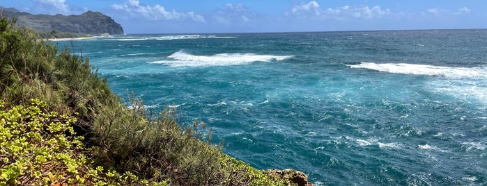 Shipwrecks Trail is one of Hawaii.