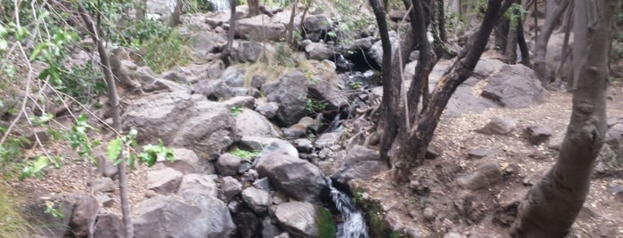 Reserva Nacional Parque Río De Los Cipreses is one of Carlos'un Beğendiği Mekanlar.