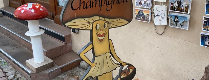 La Boutique Du Champignon is one of Best of Alsace.