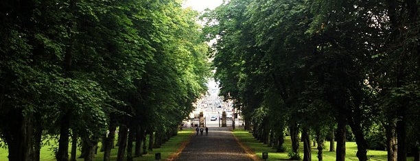 Queen's Park is one of Glasgow.