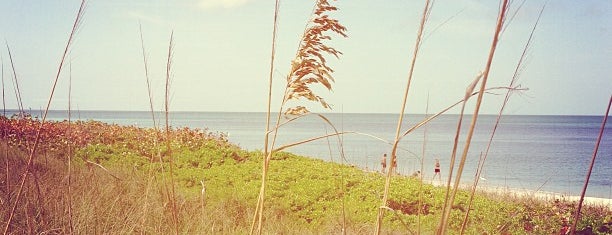 Park Shore Beach is one of Tempat yang Disukai Andrew.
