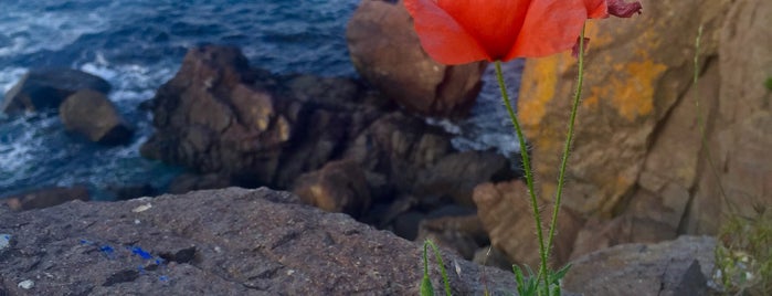 Скалите на Созопол (Sozopol Rocks) is one of Tempat yang Disukai Anastasiya.