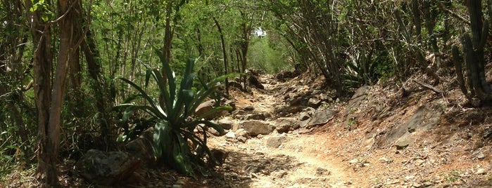 Lind Point Trail is one of U.S. Virgin Islands.