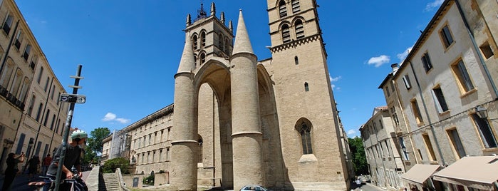 Cathédrale Saint-Pierre de Montpellier is one of Montpellier.