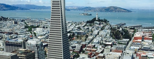 San Francisco's 15 Best Views