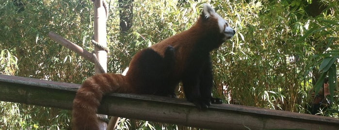 Ménagerie du Jardin des Plantes is one of Places to Check Out in Paris.