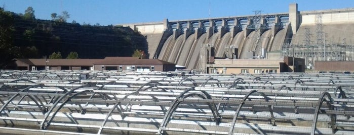 Shepherd Of The Hills Fish Hatchery At Table Rock Dam is one of Lugares favoritos de Lizzie.