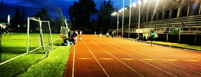 Pista de Atletismo Deportivo Reynosa is one of Locais curtidos por Alonso.