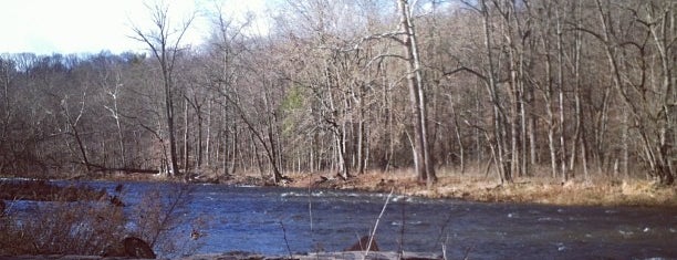 Ralph Stover State Park is one of Mae's Saved Places.