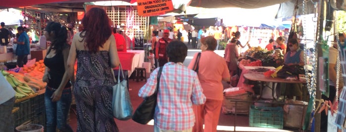 Tianguis de los girasoles is one of Mercados de Celaya.