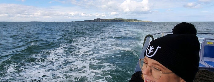 Dublin Bay Cruises is one of Dublin.