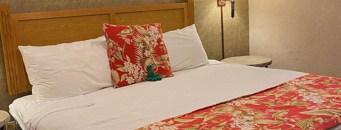 Caliente Tropics Resort Hotel is one of Mid Century Trip.