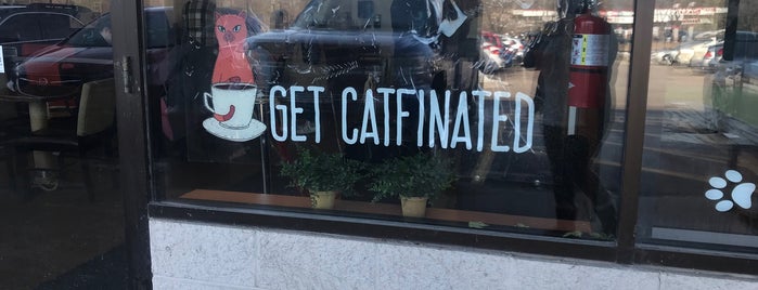 The Cafe Meow is one of Minneapolis:Coffee.