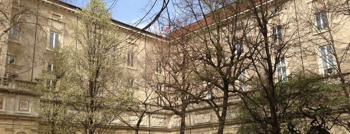 Musée des Beaux-Arts is one of Lyon en automne.