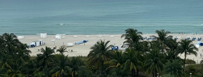 Loews Miami Beach Hotel is one of Florida.
