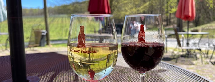 Cartecay Vineyards is one of Visit Atlanta.