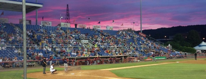 NYSEG Stadium is one of Locais curtidos por Courtney.