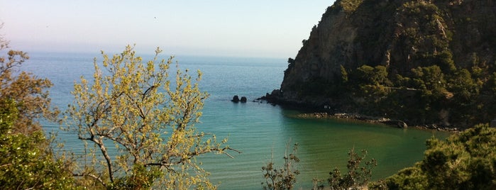 Spiaggia di San Montano is one of Joe : понравившиеся места.