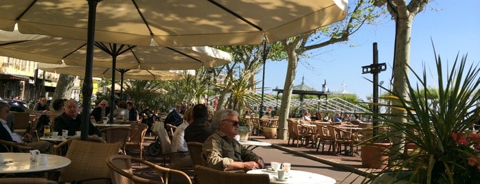 Café Des Palmiers is one of Tempat yang Disimpan Elisabeth.
