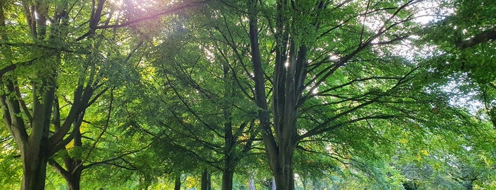 The Downs is one of Tempat yang Disukai L.