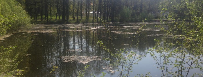 Дом отдыха «Ершово» is one of Вокруг Москвы.