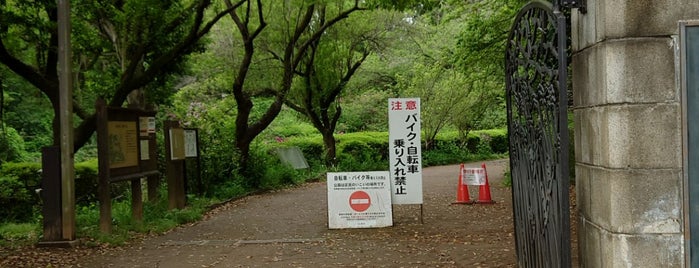 Komabano Park is one of 西郷どんゆかりのスポット.