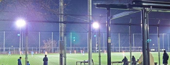 The second technical field is one of サッカーを見たところ.