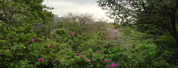 駒場野公園 is one of 西郷どんゆかりのスポット.