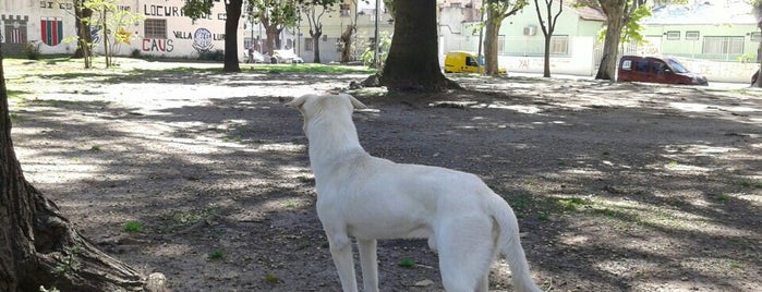 Plaza Derechos del Hombre is one of Barrio de Villa Luro.