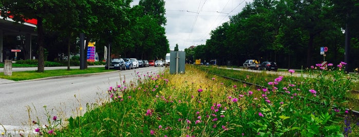 H Kriemhildenstraße is one of München Tramlinie 16.