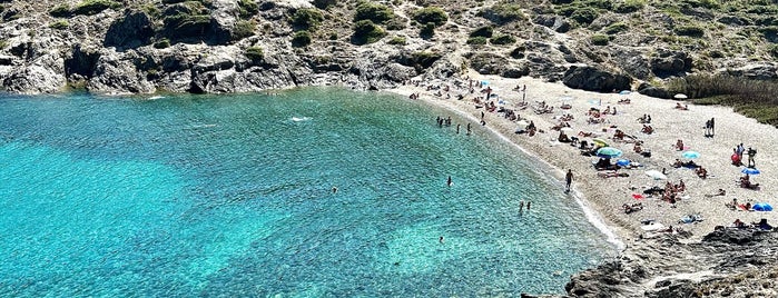 Platja de la Tamariua is one of Costa Brava.